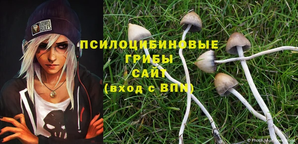 a pvp Алзамай