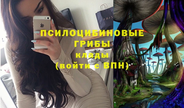 a pvp Алзамай