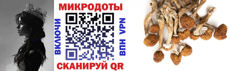 Псилоцибиновые грибы MAGIC MUSHROOMS omg как зайти Игарка